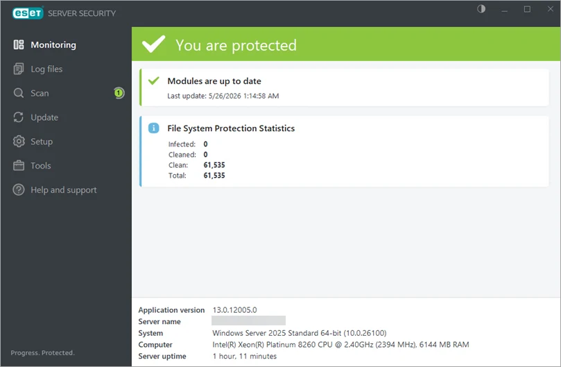 وضعیت سبز ESET Server Security پس از نصب و فعال سازی